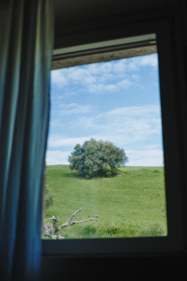 Monna Terra B&B Фермо Екстериор снимка